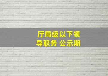 厅局级以下领导职务 公示期